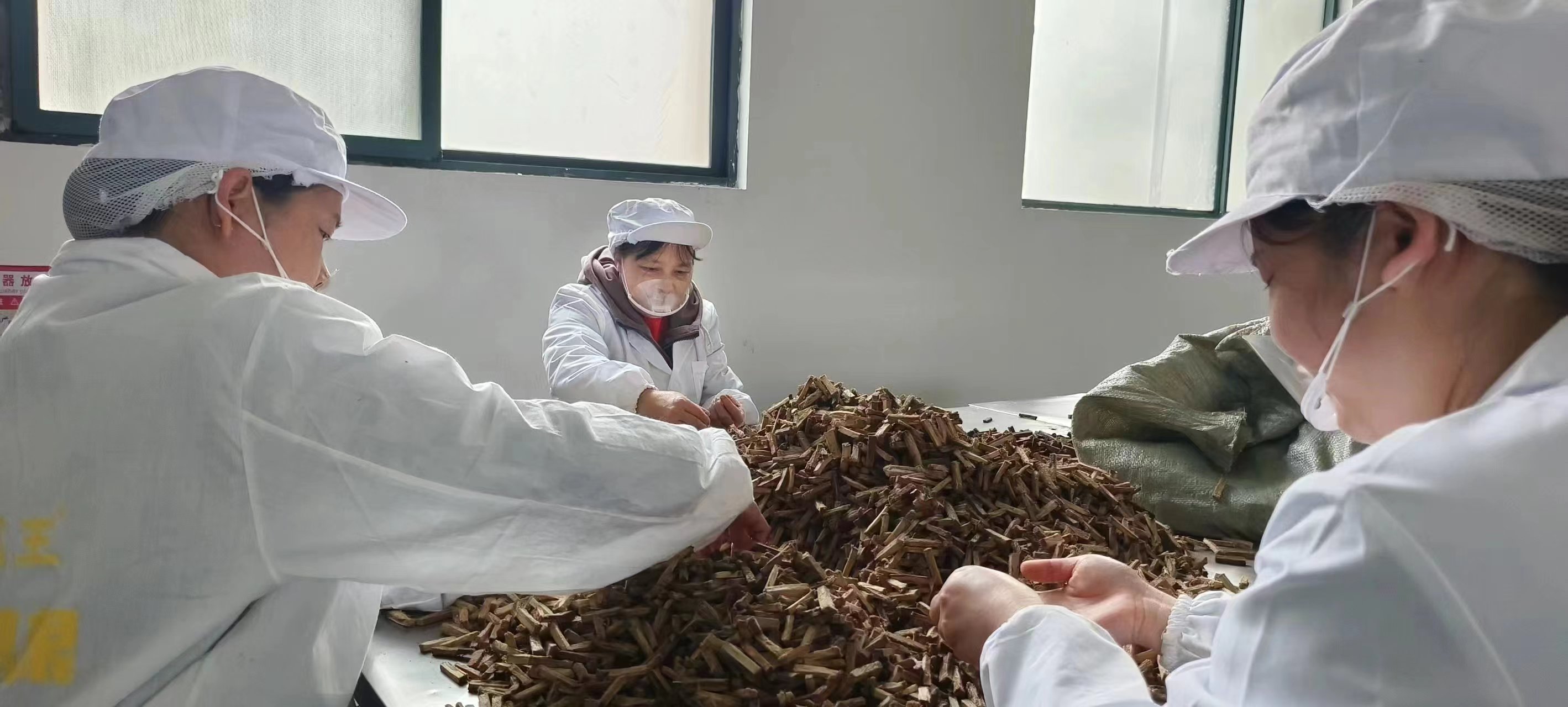 葛根廠家,葛根公司,葛根生產,葛根品牌