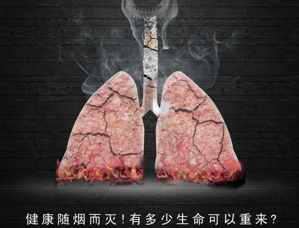 葛根品牌,葛根公司,生產葛根,葛根基地