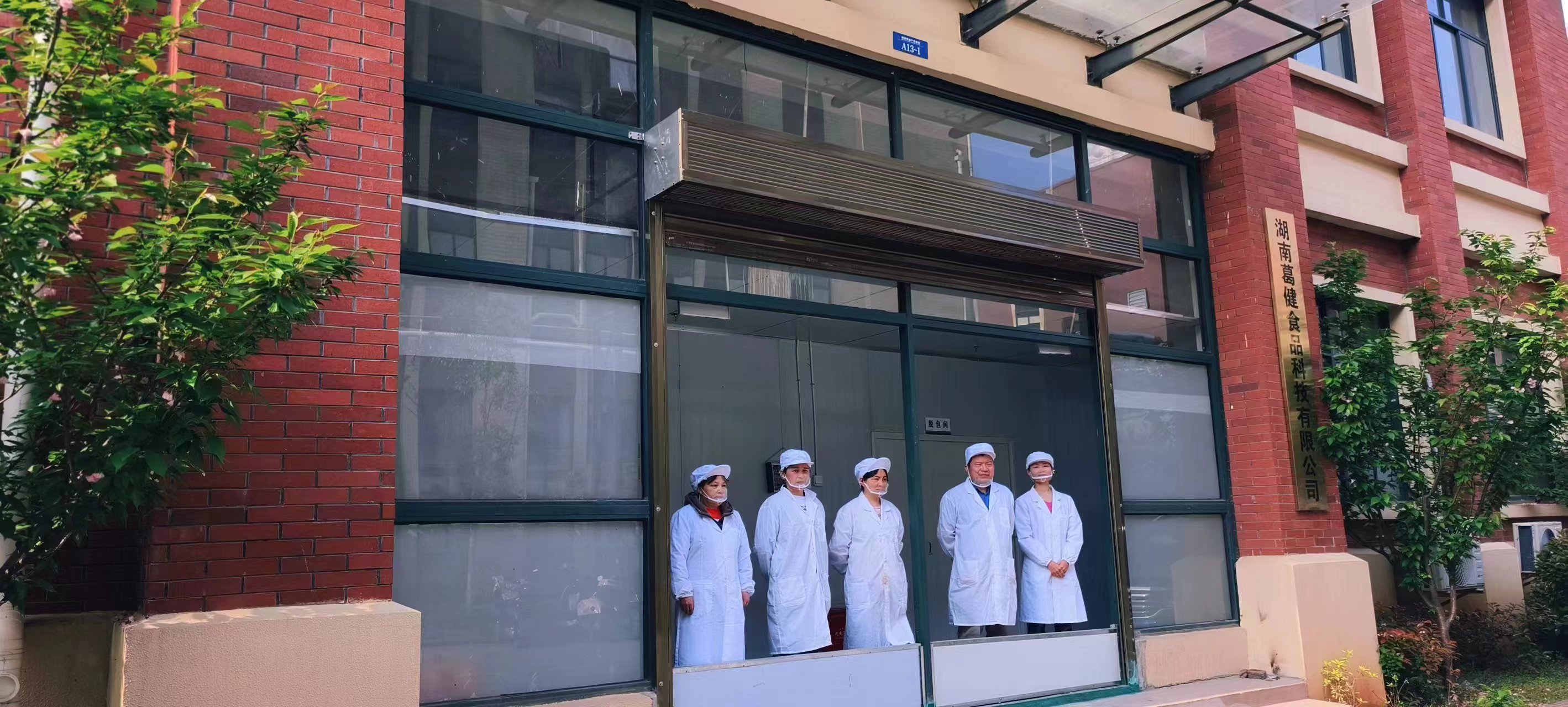 生產葛根,葛根基地,葛根條廠家,葛根項目