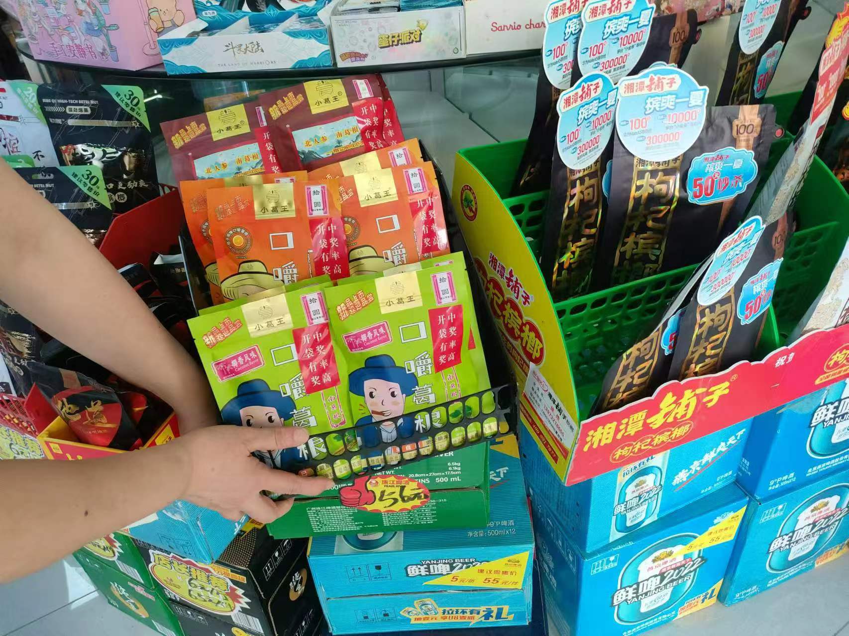 生產葛根,葛根基地,葛根條廠家,葛根項目